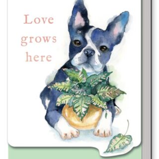 Love Grows Here Pocket Notebook